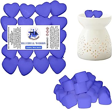 Scented wax melts mini hearts (Savage,invictus inspired,Lynx Africa Inspired,Creed) scented soy wax melts for wax warmer Designer inspired for men Gift Box 4x 40g